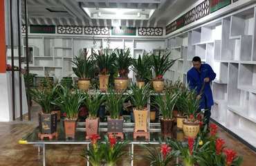 富優(yōu)美專業(yè)園林綠化 花卉綠植租賃、批發(fā)零售與南昌盆栽養(yǎng)護管理工程